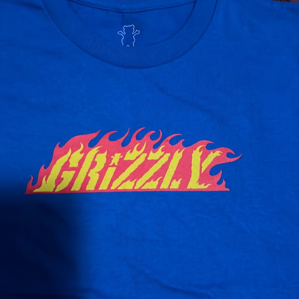 Dodger Blue color grizzy t shirt for boys